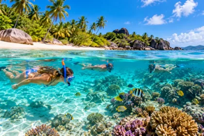 Best Beaches for Snorkeling 12 Clear-Water Spots